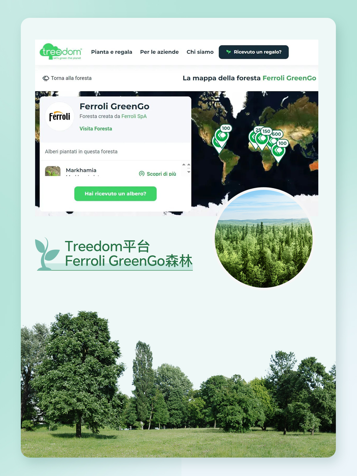 亚美AM8AG(中国区)官方网站